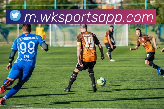 悟空体育APPAPP 封面图